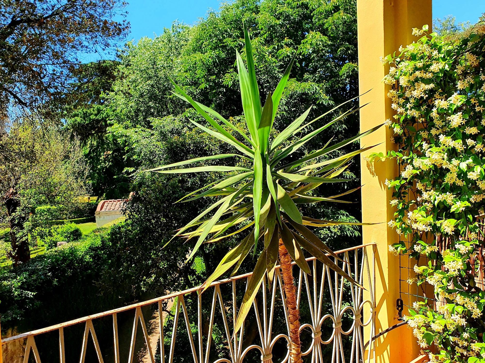 Hotel Annalena Florencia Exterior foto